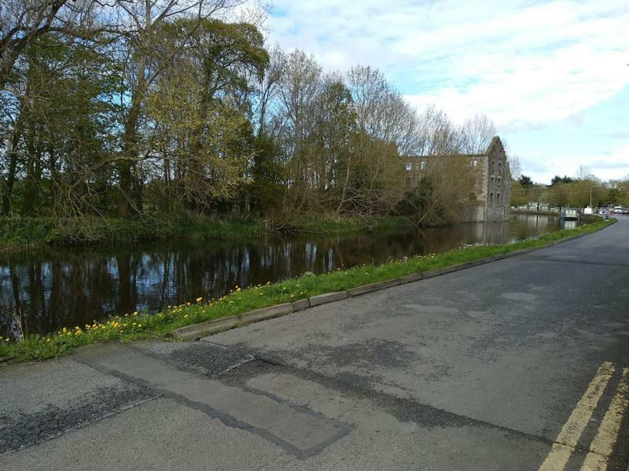 Small Town House, Barrow Lane, Bagenalstown, Carlow ภายนอก รูปภาพ